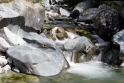 Mountain stream, Zermatt Switzerland 1
